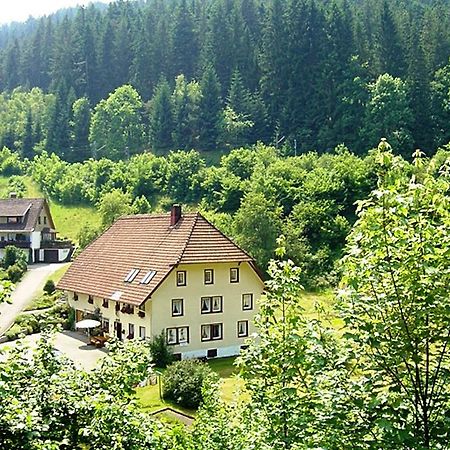Country Style Flat With Garden Apartment Triberg im Schwarzwald Екстериор снимка