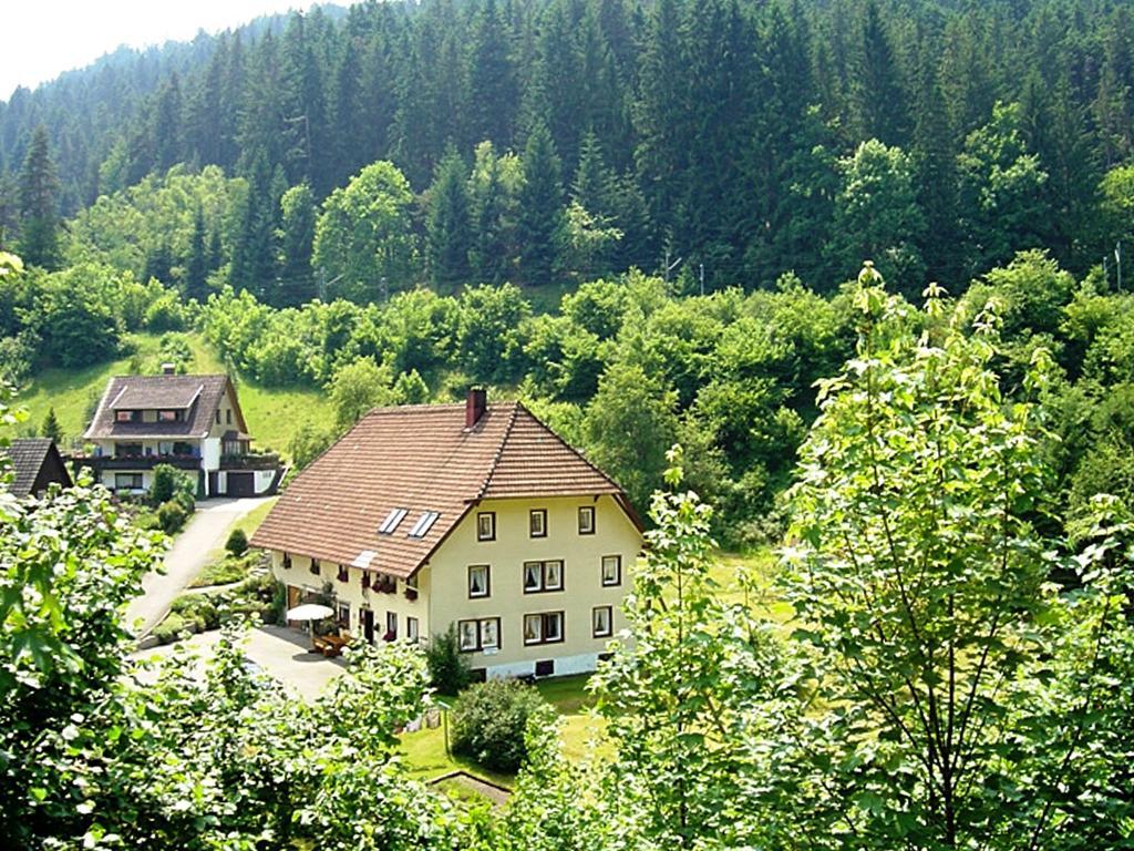 Country Style Flat With Garden Apartment Triberg im Schwarzwald Екстериор снимка