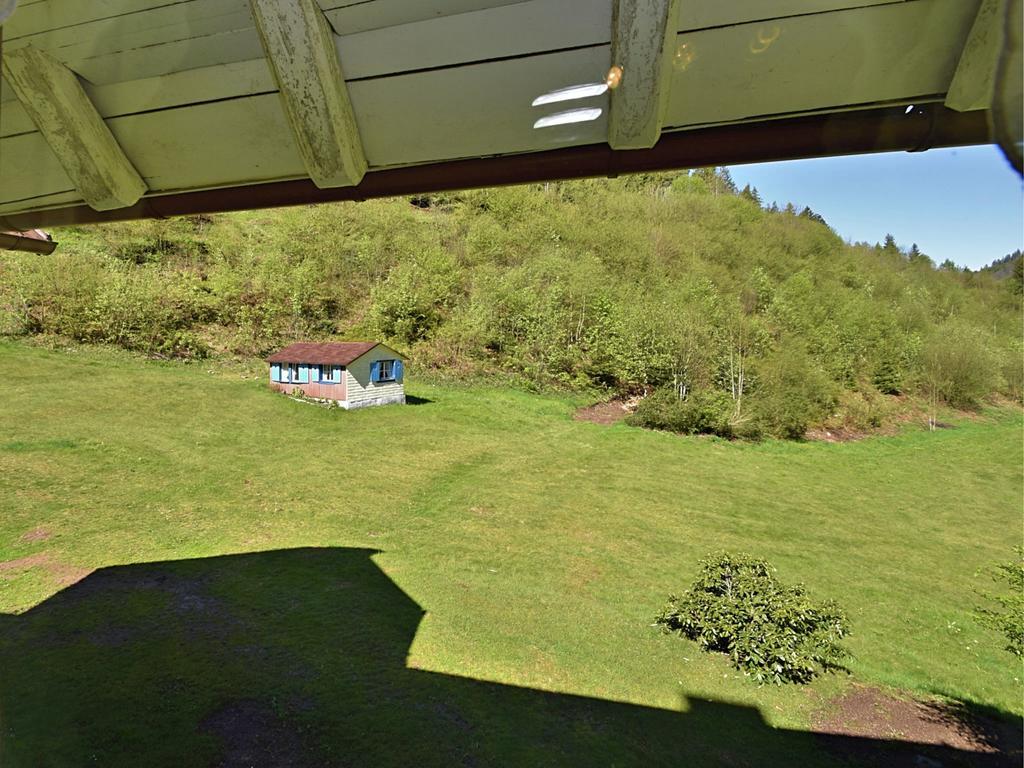 Country Style Flat With Garden Apartment Triberg im Schwarzwald Стая снимка