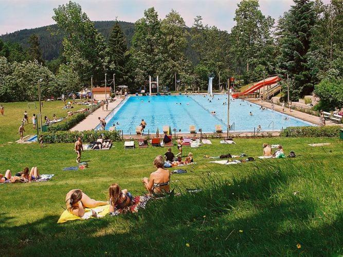 Country Style Flat With Garden Apartment Triberg im Schwarzwald Екстериор снимка