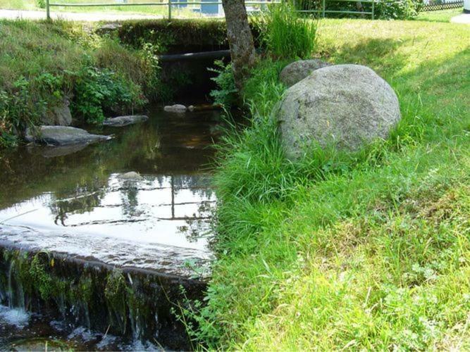 Country Style Flat With Garden Apartment Triberg im Schwarzwald Екстериор снимка